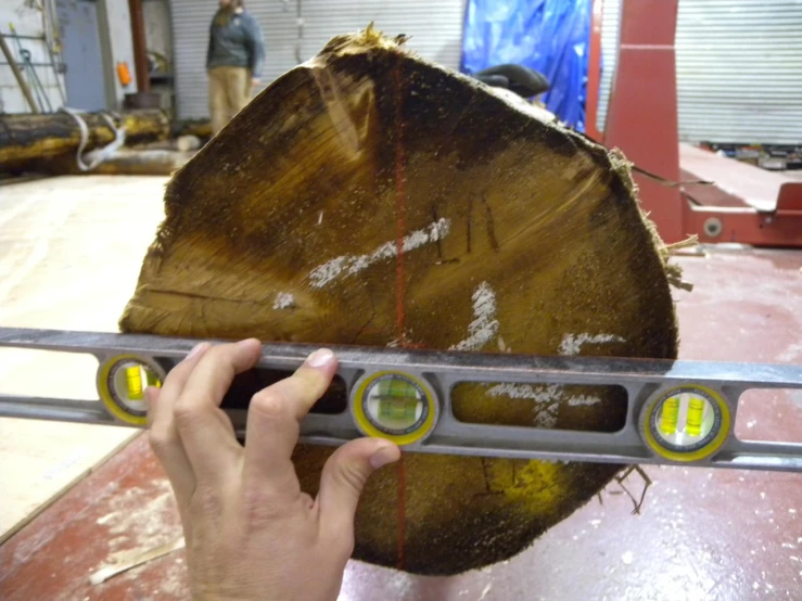 two hand tools  up large tree trunk with wooden slice