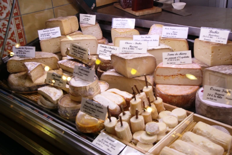 several different kinds of cheese displayed on display