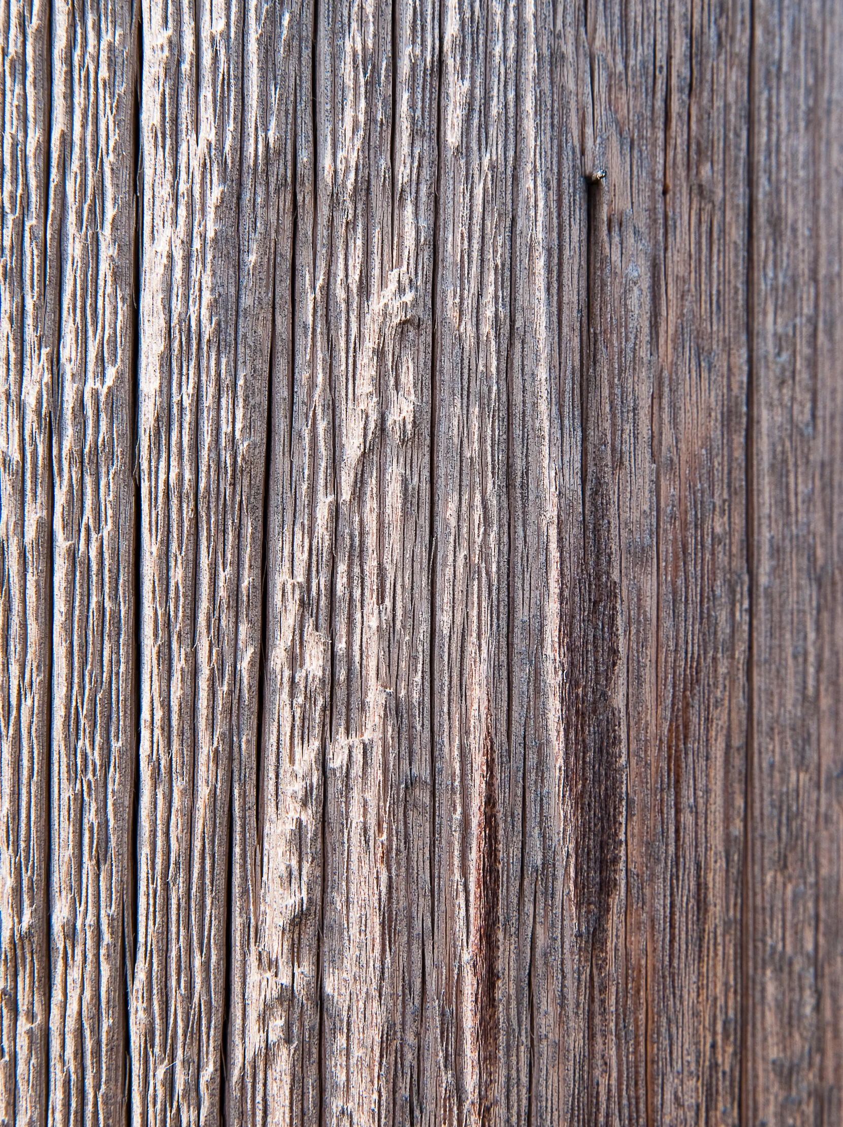 a wood surface with some small holes in it