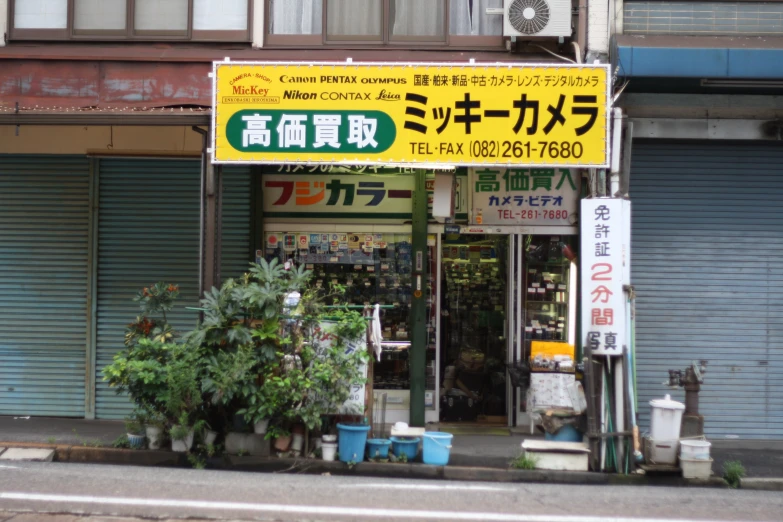 store front with green plants and two trees