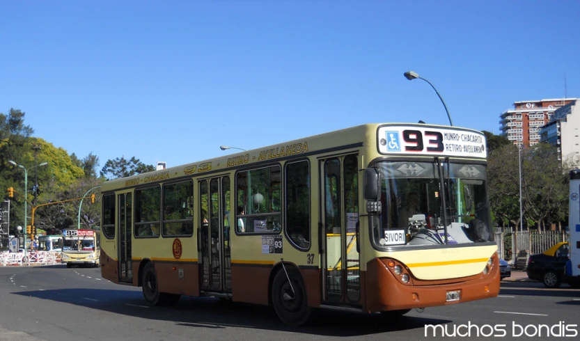 a green and brown bus on road with trees