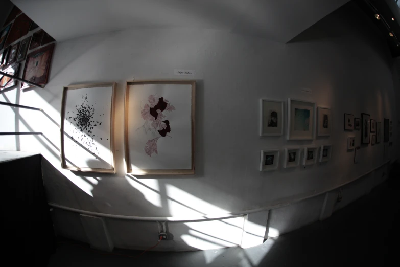 three framed artwork in an art gallery with bright sunlight streaming through