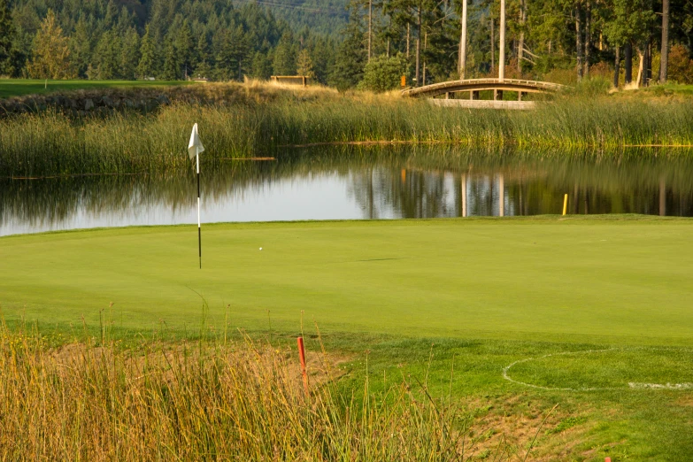 golf green with pond and water in the foreground