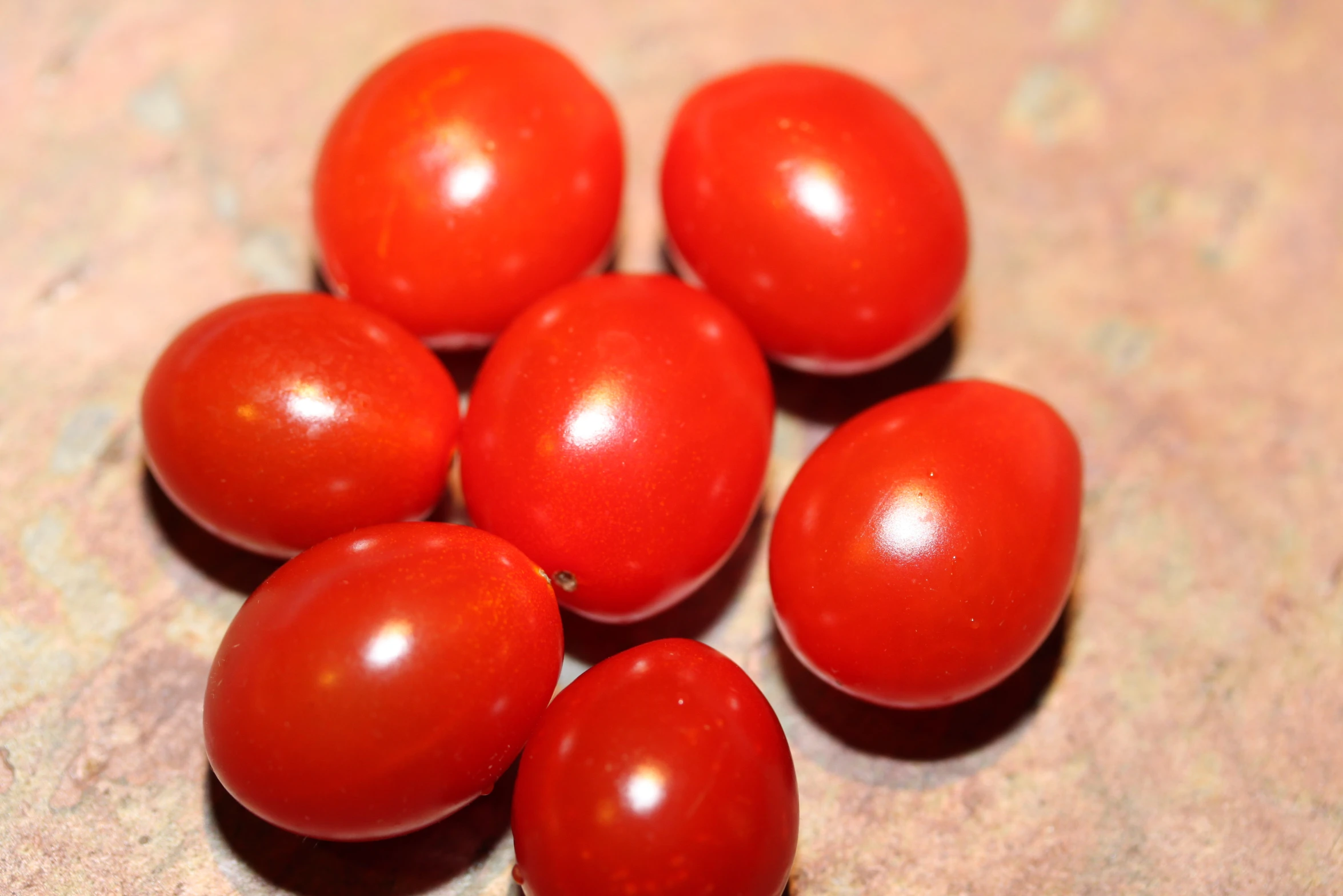 small group of tomatoes on table looking at the camera