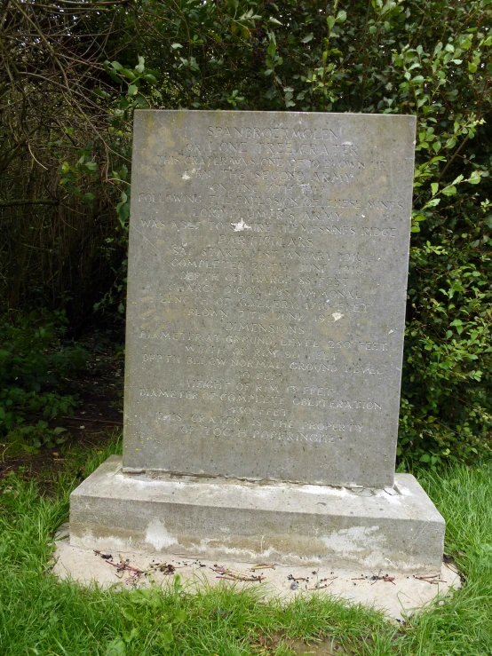 an antique grave sitting in the grass outside