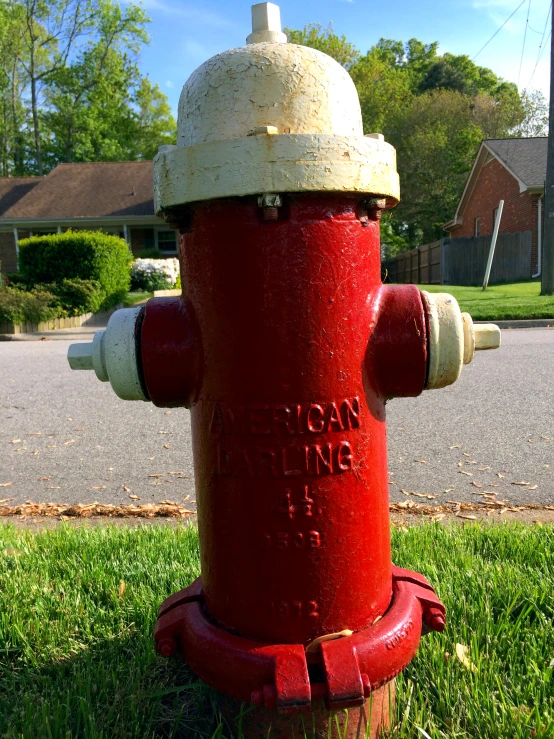 a red and white fire hydrant in the grass