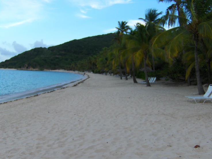 a beach scene with white chairs and palm trees