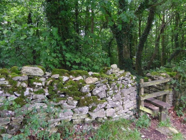 stone wall next to a forest with green foliage