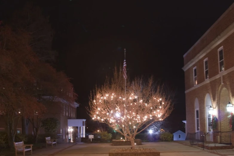 a tree decorated with christmas lights stands in the middle of a square