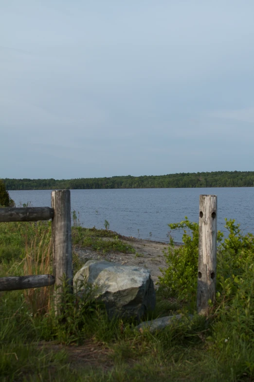 an image of a view through the fence