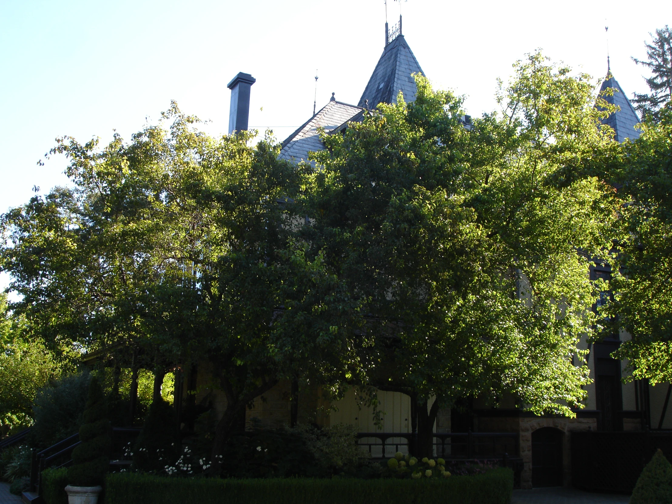 an ornate building sits between trees and hedges