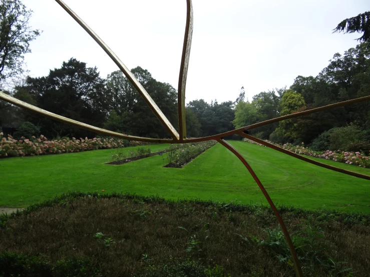 the view of an empty field with grass, bushes and trees in the distance