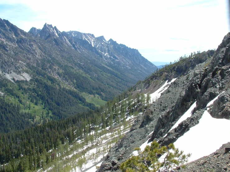 a picture of mountains in the snow with some trees