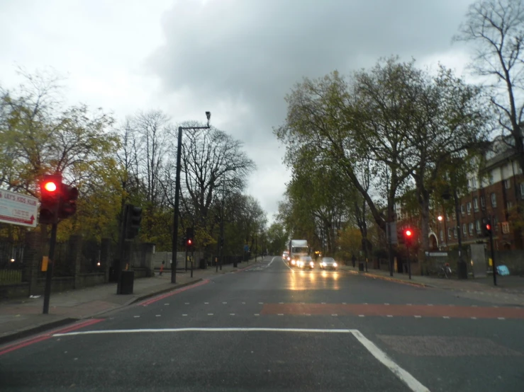 the city street is busy with cars and trees on a rainy day