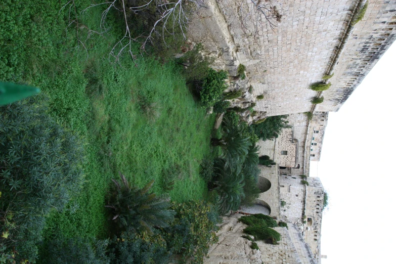 an old stone wall near a small river or stream