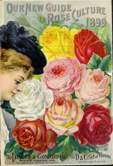 the cover of a magazine features flowers and a girl