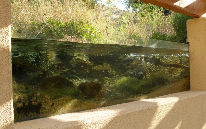 the mossy water and sun shine in this outdoor room