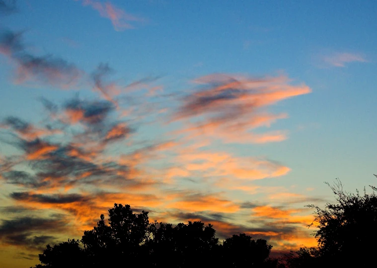 the sun rises on the horizon over trees and a telephone pole