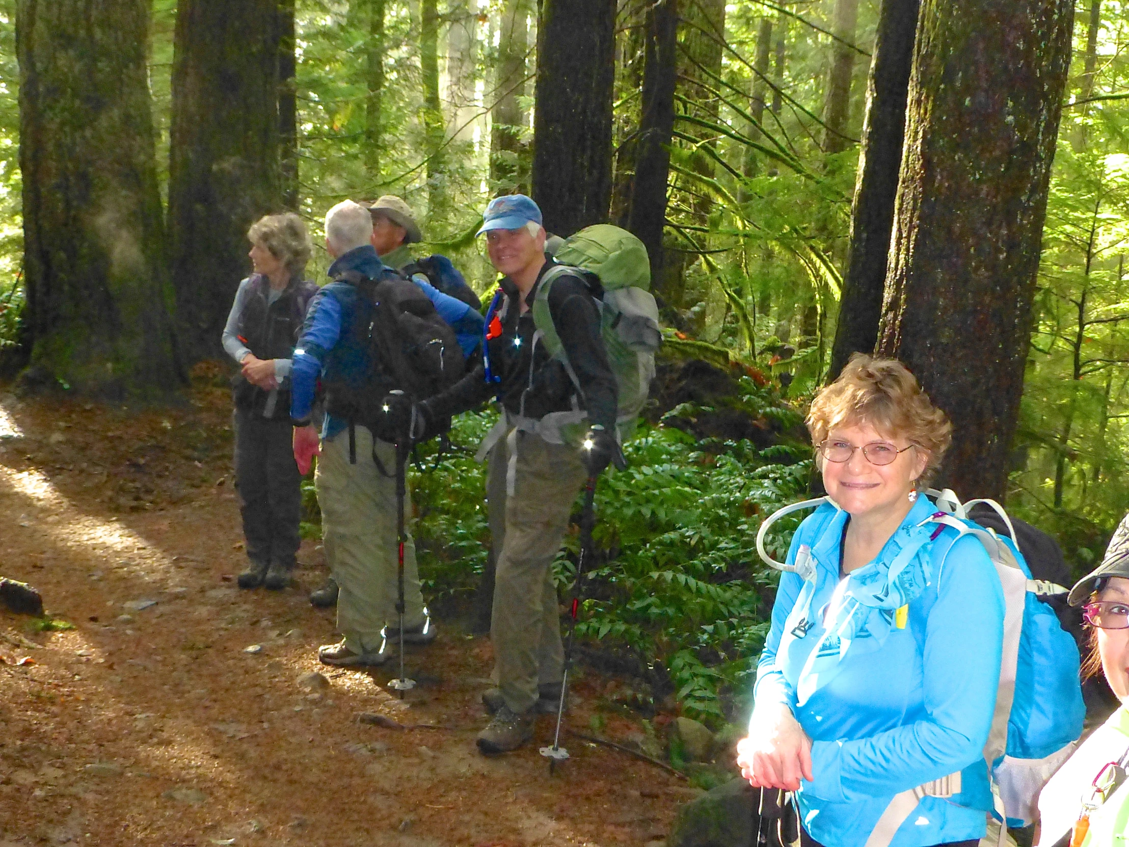 people with backpacks standing in the woods