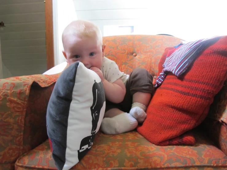 baby sitting on couch chewing on pillows while looking into camera