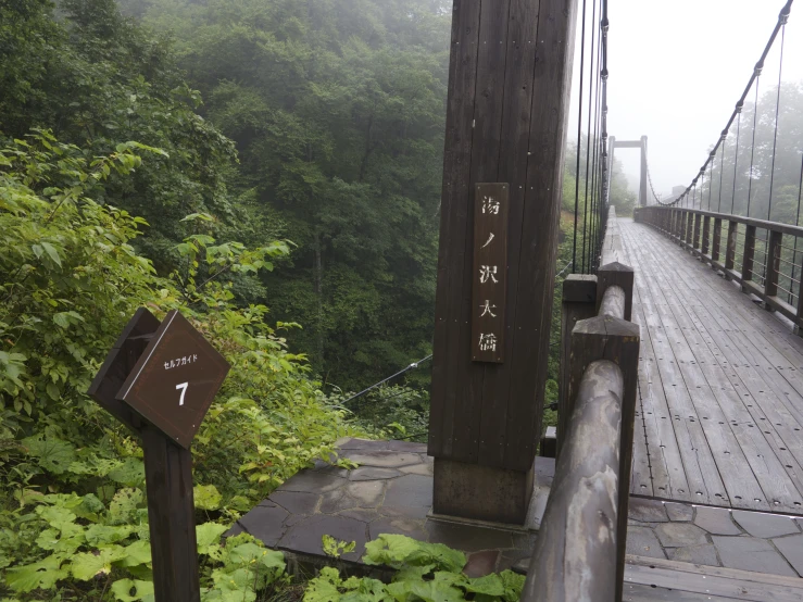 a wooden bridge above a lush green jungle