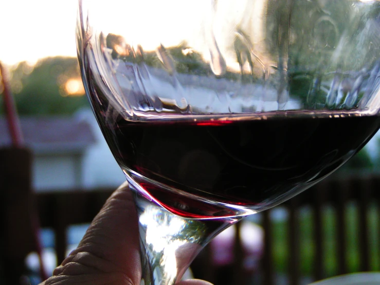 a hand holding a wine glass with red liquid