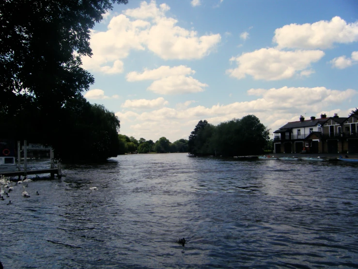 a boat in a body of water with houses in the background