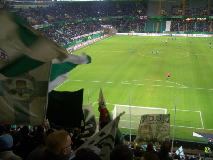 fans watch soccer on a soccer field with green grass