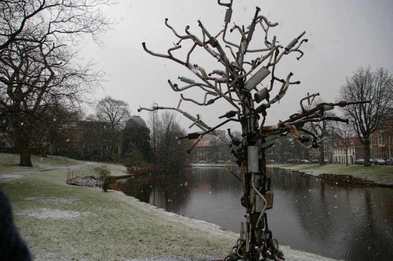 there is a tree with lots of birds perched on it