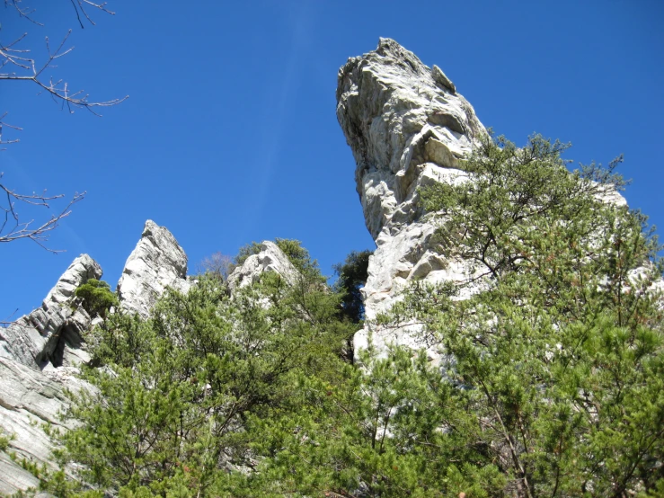 trees are growing next to a tall rocky outcrop