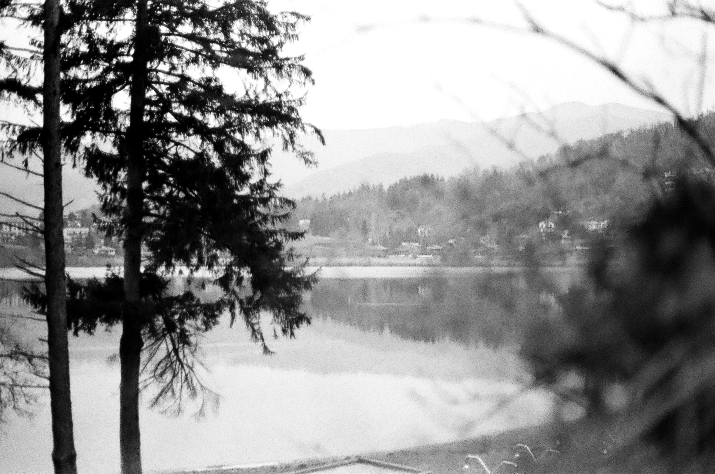 snow is falling around trees and near the water