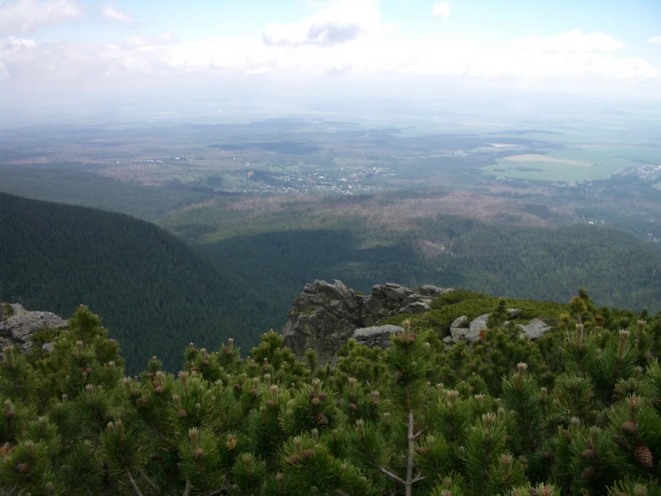 view over a valley with trees and mountains in the distance