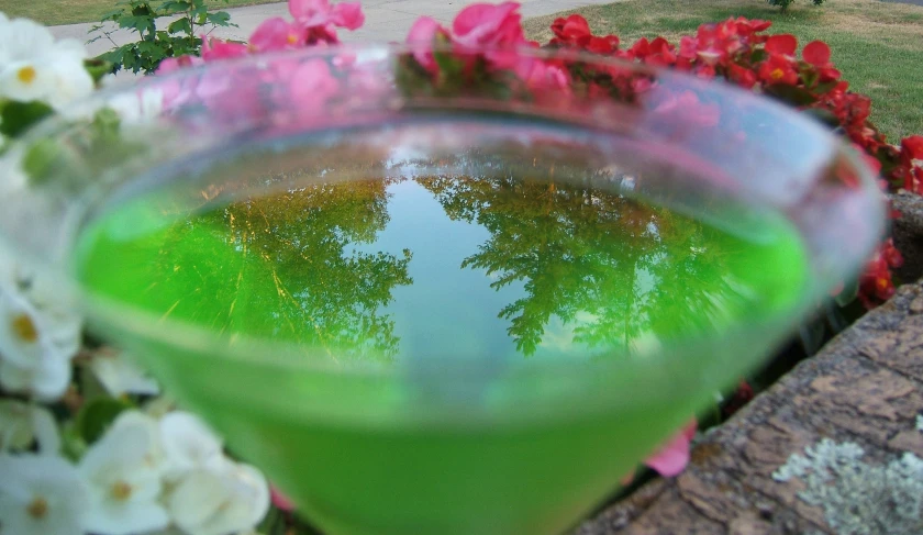 a green drink on the table with flowers in it