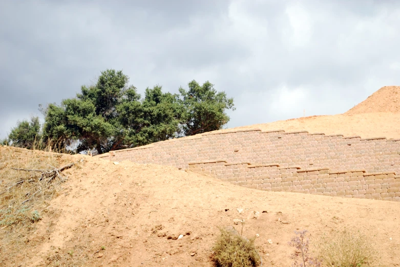 two giraffes standing on a hill above some trees