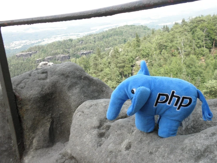 a stuffed animal with the words phi painted on it sitting in a rock