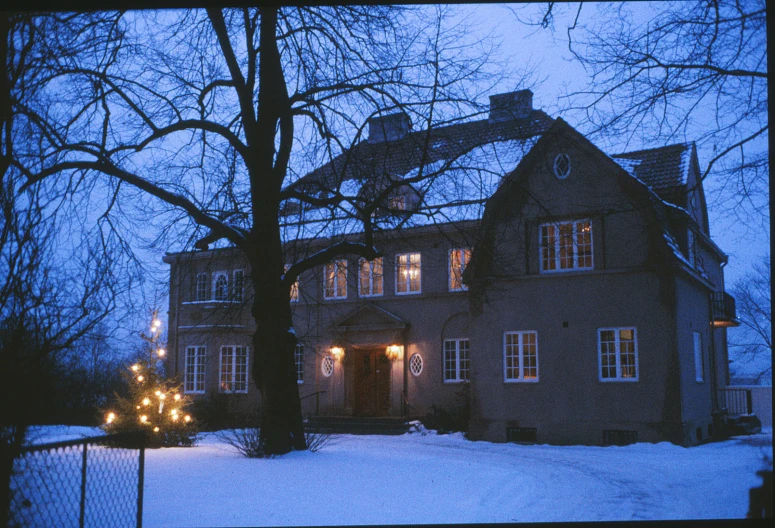 a big house is covered with a large tree and christmas lights