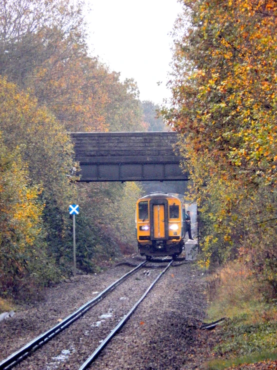 a small yellow train passes under an overpass