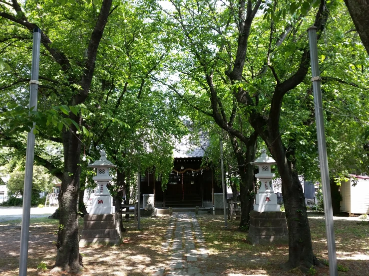 many statues are shown underneath the trees