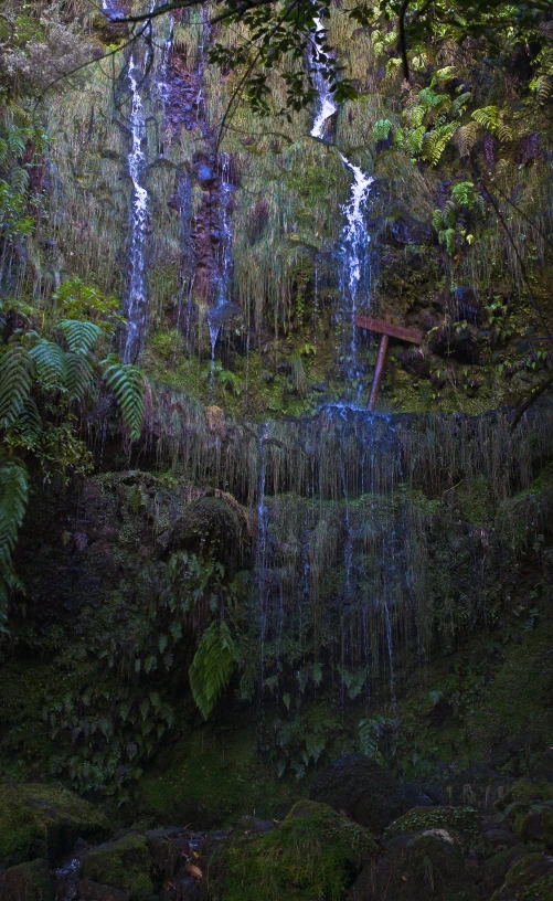 small waterfall in the forest with water flowing through it