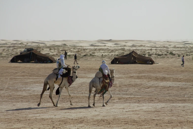 people ride camels in the desert near tents