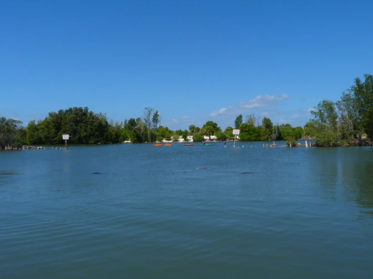 water and a few trees in the distance