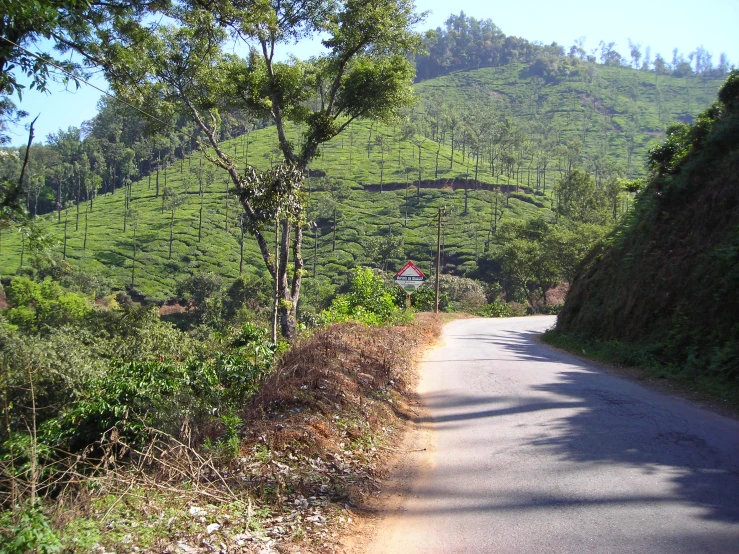 a road leading towards a hill covered with greenery