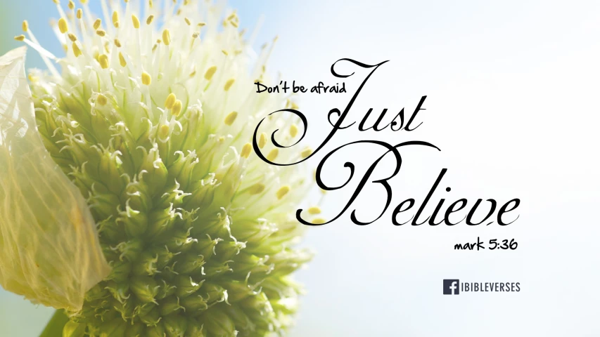 an image with the word just believe in cursive ink on a flower