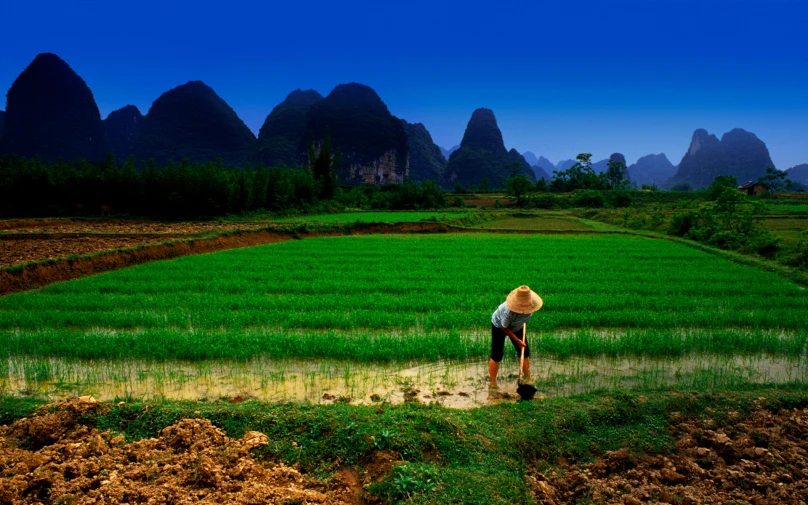 a person standing in a large field with mountains behind