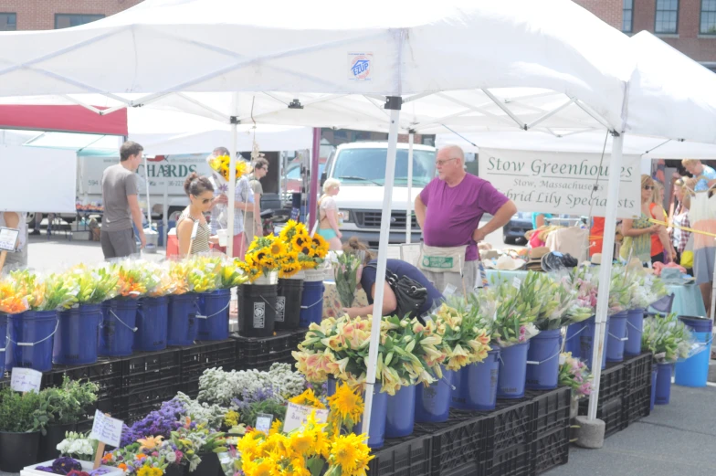 a man working at a farmers market selling flowers