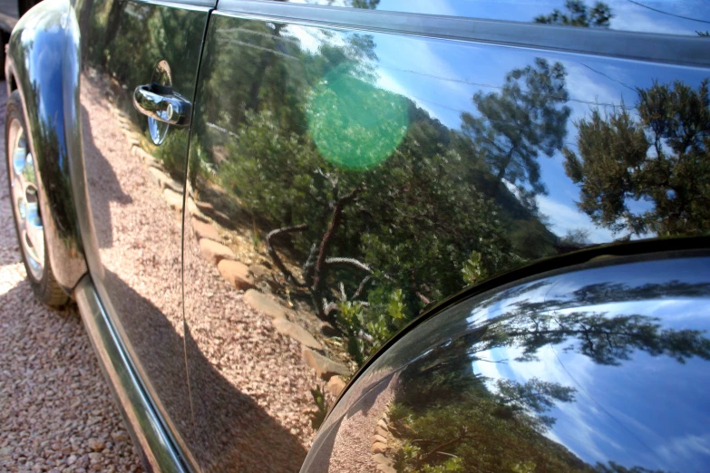 shiny, chrome hood of an automobile with reflection of trees in the rear