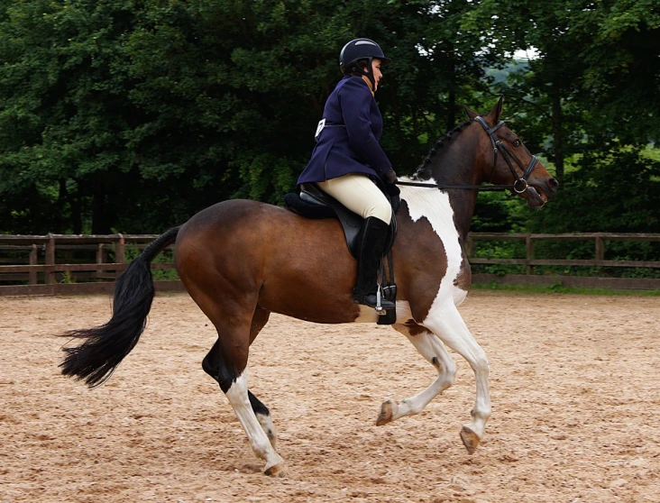 a horse rider in a showjute wearing an all weather riding helmet