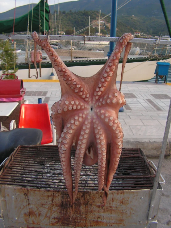 an octo being cooked on a grill by two people