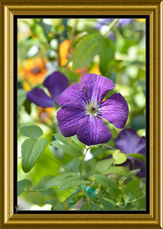 a flower that is on a green plant