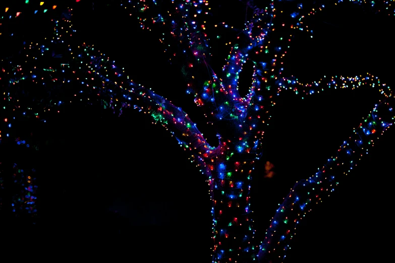 a large light - covered tree at night is lit up